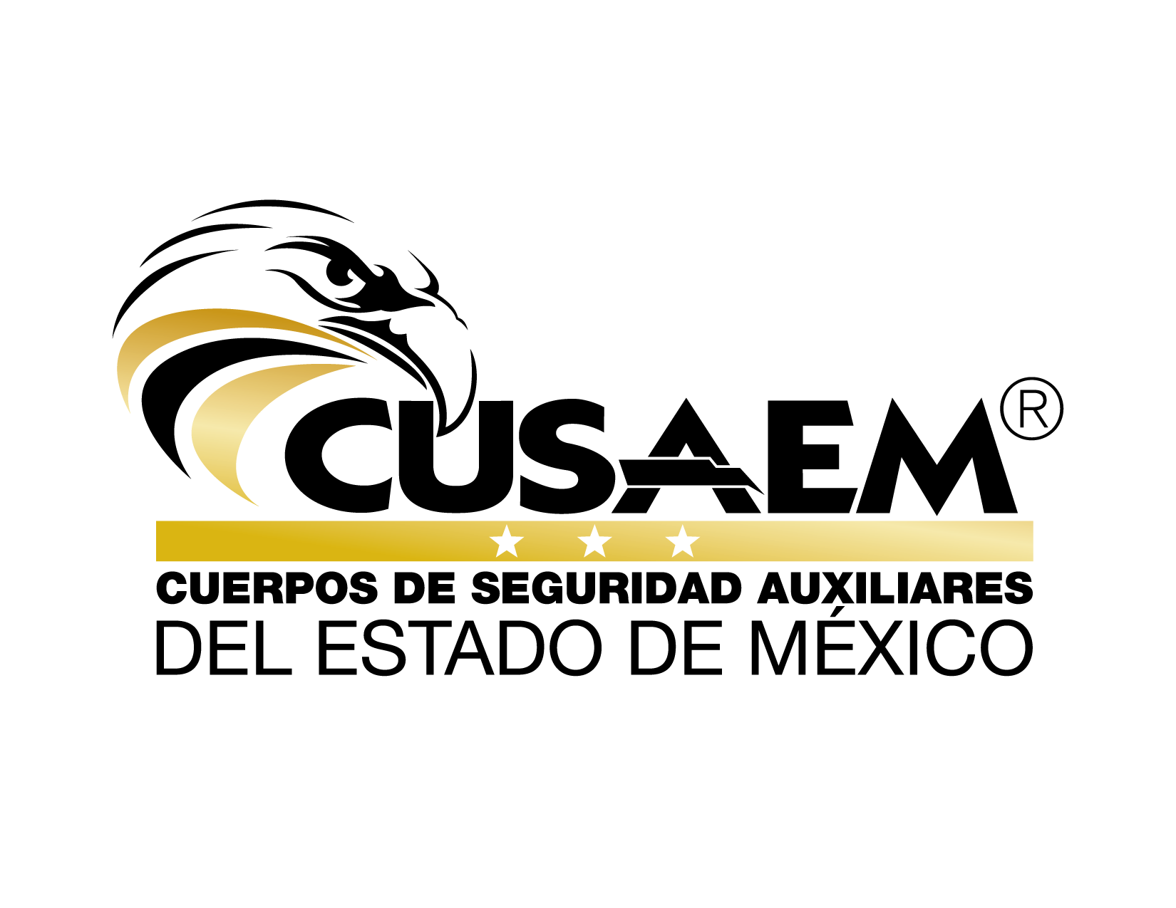 cusaemRevisado